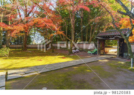 慈眼堂　美しい境内　紅葉の季節（滋賀県大津市坂本） 98120383