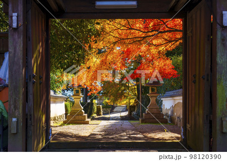 慈眼堂山門 紅葉の季節(滋賀県大津市坂本) 慈眼堂山門 紅葉の季節(滋賀県大津市坂本) 98120390