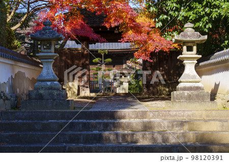 慈眼堂山門　紅葉の季節（滋賀県大津市坂本） 98120391