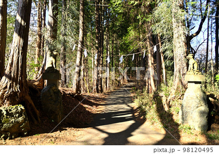 埼玉県寄居町風布のパワースポット 釜山神社 埼玉県寄居町風布のパワースポット 釜山神社 98120495