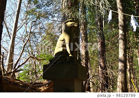 埼玉県寄居町風布のパワースポット　釜山神社 98120789