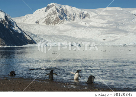 Paraiso Bay mountains landscape,  98120845