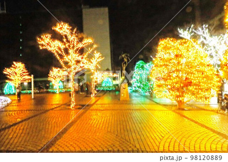 京セラ本社ビル前広場のクリスマス 京セラ本社ビル前広場のクリスマス 98120889