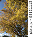 イチョウ 98121113