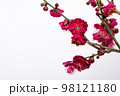 赤色の梅、紅梅の花の白背景写真 98121180