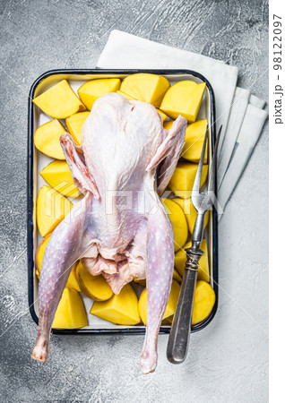Cooking of Raw guinea fowl with potato in baking dish. White background. Top view Cooking of Raw guinea fowl with potato in baking dish. White background. Top view 98122097