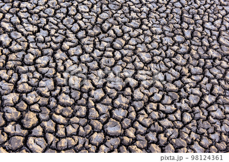 Global warming desertification, Pampas, Argentina Global warming desertification, Pampas, Argentina 98124361