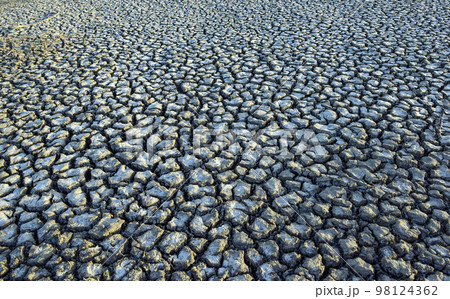 Global warming desertification, Pampas, Argentina Global warming desertification, Pampas, Argentina 98124362