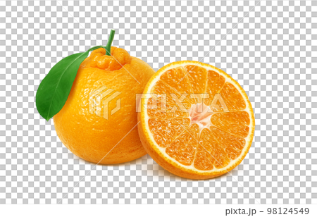 dekopon dekopon illustration real dekopon dekopon illustration real 98124549