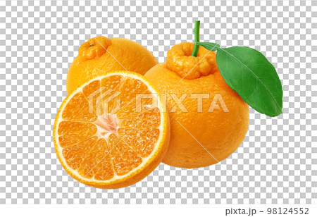 Dekopon插圖真實 98124552