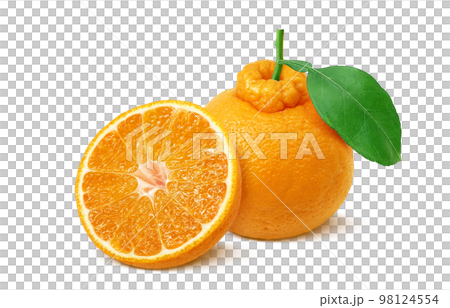 dekopon dekopon illustration real 98124554