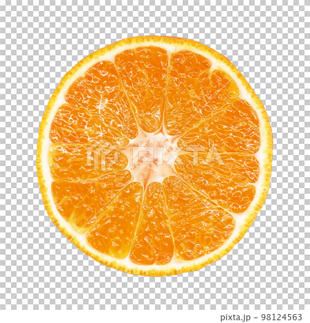 デコポン でこぽん イラスト リアル デコポン でこぽん イラスト リアル 98124563