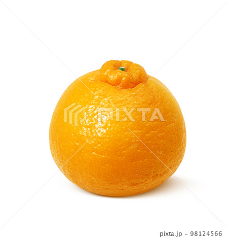 デコポン でこぽん イラスト リアル  98124566