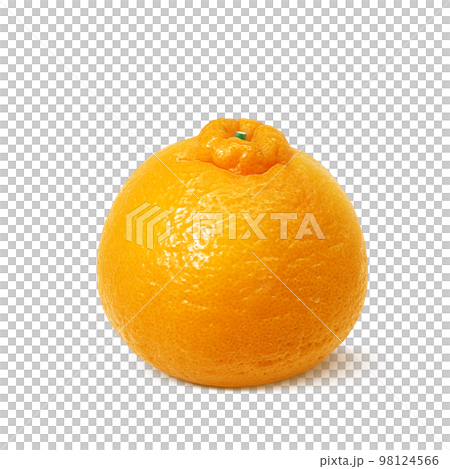 dekopon dekopon illustration real dekopon dekopon illustration real 98124566