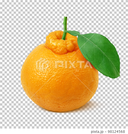 dekopon dekopon illustration real dekopon dekopon illustration real 98124568