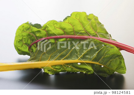 スイスチャード 98124581