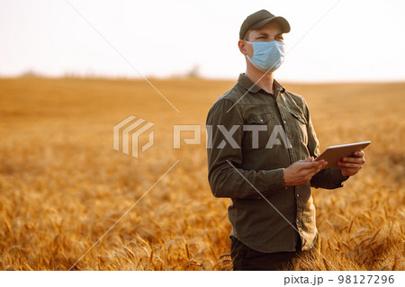 Farmer in a sterile mask with a tablet in their hands in a wheat field at sunset. Agro business. Farmer in a sterile mask with a tablet in their hands in a wheat field at sunset. Agro business. 98127296