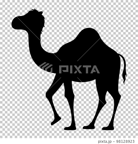 Dromedary illustration _ silhouette 98128923