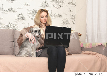 A charming lady is sitting at home with a laptop on the couch and hugging a cute gray dog. A charming lady is sitting at home with a laptop on the couch and hugging a cute gray dog. 98129146