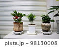 木 植物 自然 98130008