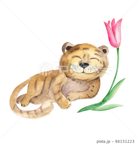 Cute baby tiger and tulip isolated on white background. Watercolor hand drawn illustration. Perfect for kid cards and posters, clothes prints and wallpaper design. Cute baby tiger and tulip isolated on white background. Watercolor hand drawn illustration. Perfect for kid cards and posters, clothes prints and wallpaper design. 98131223