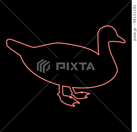 Neon duck Male mallard Bird Waterbird Waterfowl Poultry Fowl Canard red color vector illustration image flat style Neon duck Male mallard Bird Waterbird Waterfowl Poultry Fowl Canard red color vector illustration image flat style 98131392