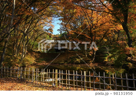 岩手県北上市 紅葉のみちのく民俗村 岩手県北上市 紅葉のみちのく民俗村 98131950