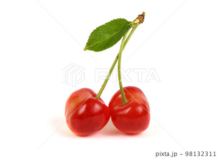 Light red sweet cherry with green leaves., side view isolated on white. Extrem close-up. Light red sweet cherry with green leaves., side view isolated on white. Extrem close-up. 98132311