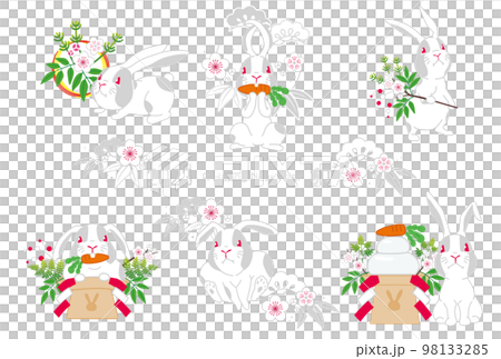 2023 zodiac rabbit design 22B 98133285