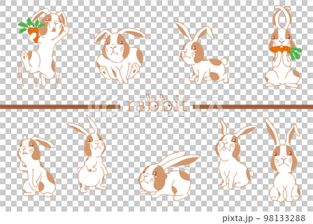 2023 Zodiac Rabbit Design 21D 2023 Zodiac Rabbit Design 21D 98133288