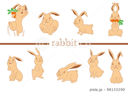 2023年干支卯のデザイン21C 2023年干支卯のデザイン21C 98133290