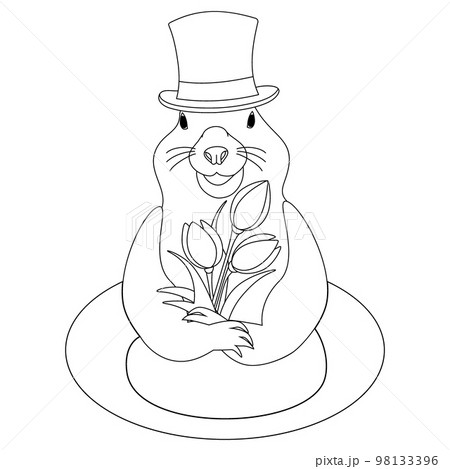 Contour image of groundhog in a hat with flowers bouquet coming out of a hole. Happy Groundhog day. 98133396