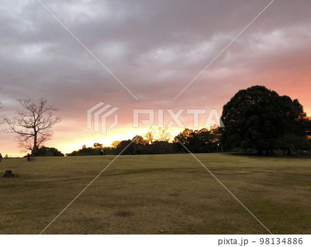 奈良公園・夕日の飛火野 奈良公園・夕日の飛火野 98134886