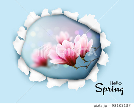 Hole in paper revealing a revealing spring blossom magnolia branches. Vector. 98135187