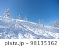 雪の山の斜面に生えている雪に覆われた樹木 98135362