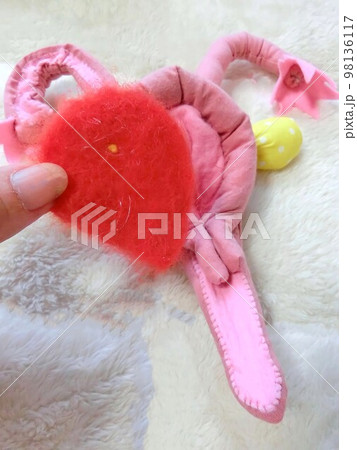 妊娠のはじまり　着床した受精卵の様子を再現 98136117