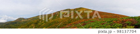 栗駒山の山岳紅葉と神の絨毯・パノラマ(宮城県) 栗駒山の山岳紅葉と神の絨毯・パノラマ(宮城県) 98137704