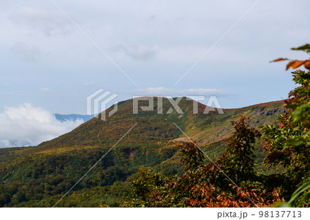 栗駒山の中央コースから望む紅葉(宮城県) 栗駒山の中央コースから望む紅葉(宮城県) 98137713