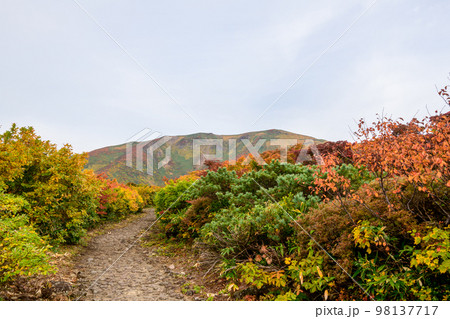 栗駒山の山岳紅葉と神の絨毯(宮城県) 栗駒山の山岳紅葉と神の絨毯(宮城県) 98137717