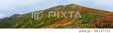 栗駒山の全景と山岳紅葉・パノラマ(宮城県) 栗駒山の全景と山岳紅葉・パノラマ(宮城県) 98137725