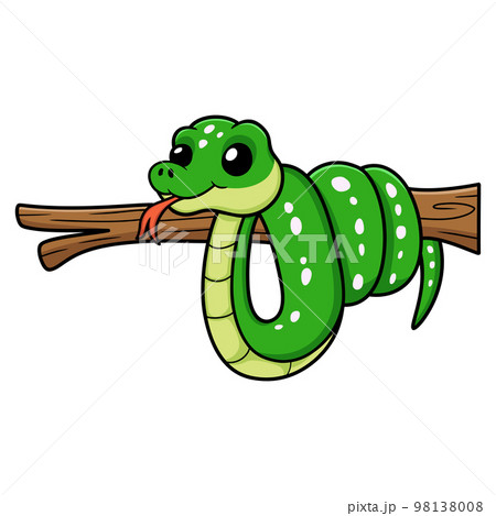 Cute green tree python cartoon on tree branch 98138008