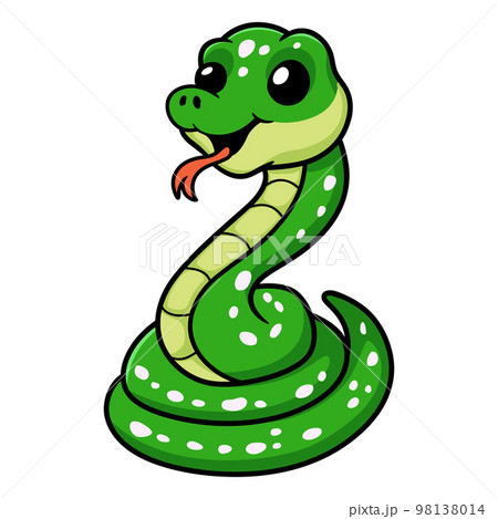 Cute green tree python cartoon 98138014