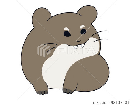 ケープハイラックス ケープハイラックス 98138181