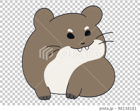 ケープハイラックス ケープハイラックス 98138181