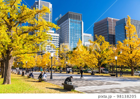 都市風景, 秋, 丸の内, 東京駅, 東京, 紅葉, 黄葉, イチョウ, いちょう並木, 都市景観, 98138205