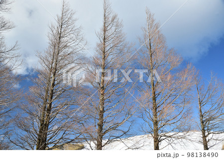大和葛城山(雪景色) 【奈良県御所市】 大和葛城山(雪景色) 【奈良県御所市】 98138490