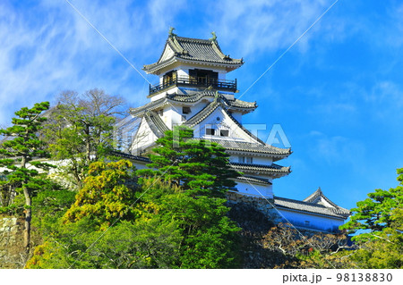 【高知県】晴天の高知城天守閣 98138830