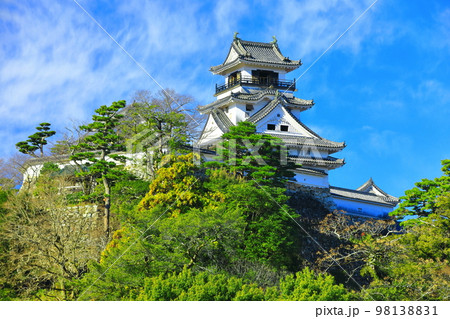 【高知県】晴天の高知城天守閣 98138831
