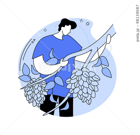 Pistachios growing isolated cartoon vector illustrations. 98139087