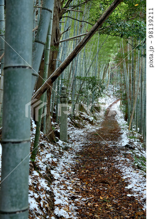 百七十二町石と高野山町石道(雪)　【和歌山県九度山町】 98139211